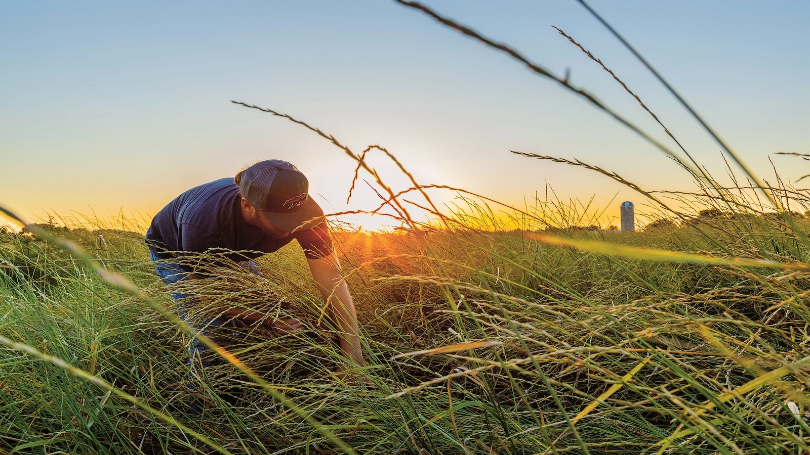 Can we eat our way out of the climate crisis?