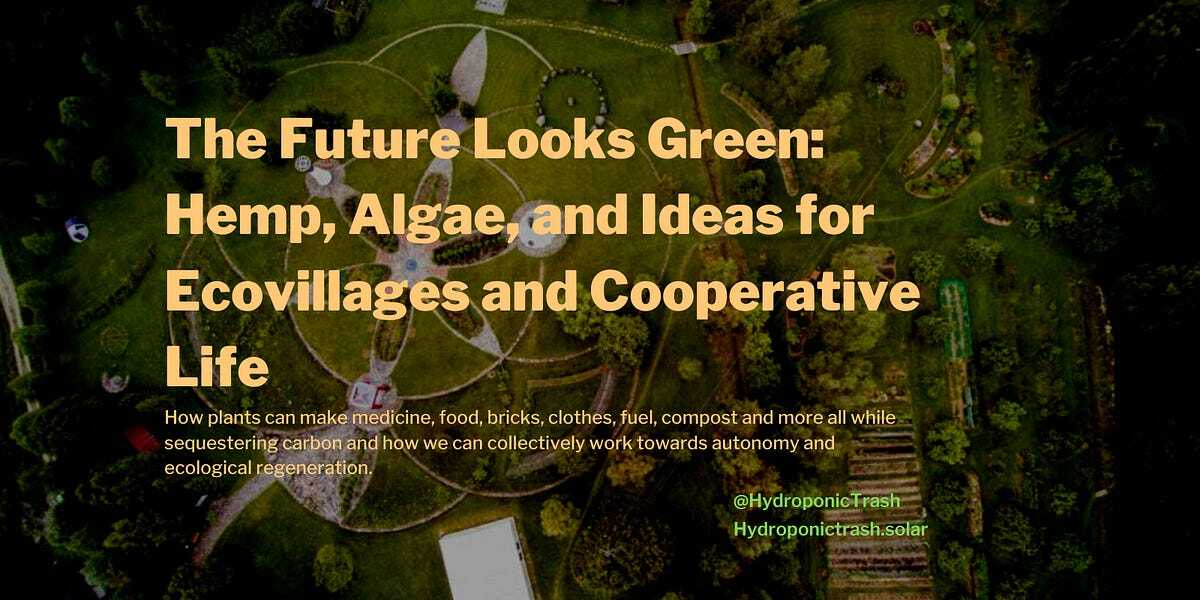 The Future Looks Green: Hemp, Algae, and Ideas for Ecovillages and Cooperative Life