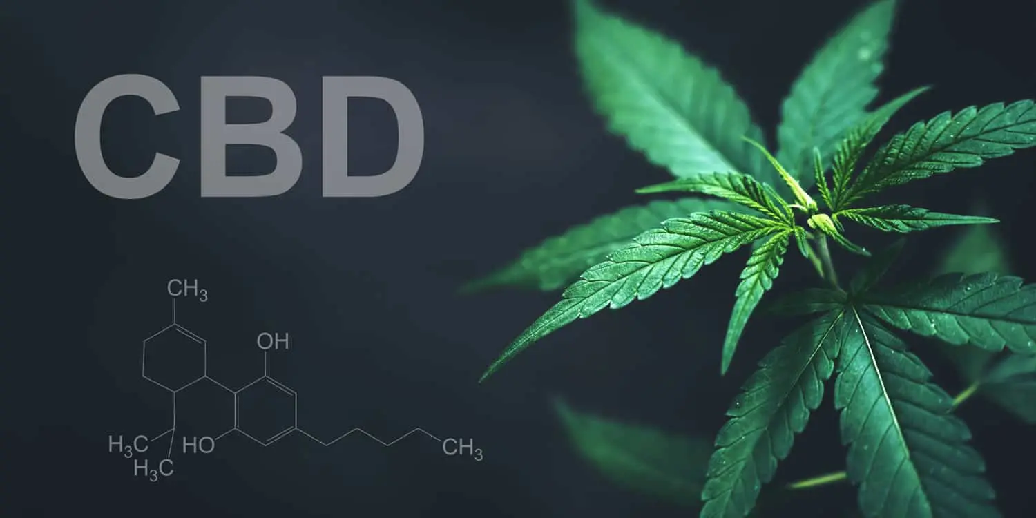 Prenatal exposure to CBD and THC is linked to concerning brain changes