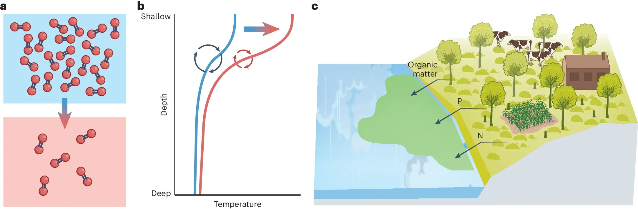 Loss of oxygen in bodies of water identified as new tipping point