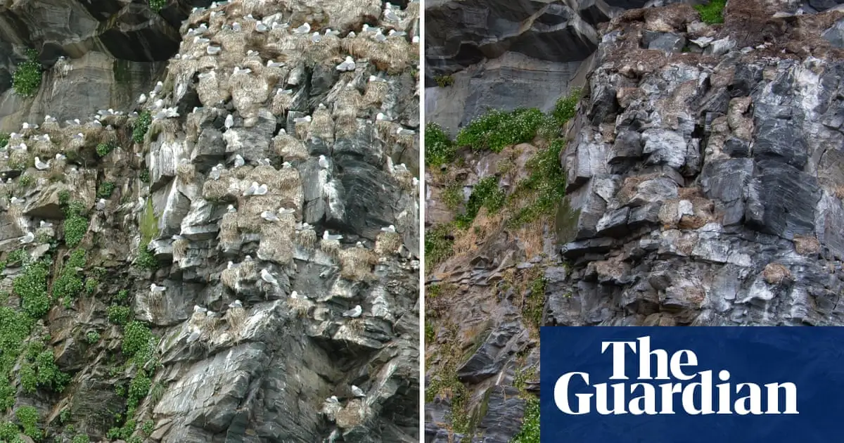 Stark before and after photographs reveal sharp decline of Norway’s seabirds