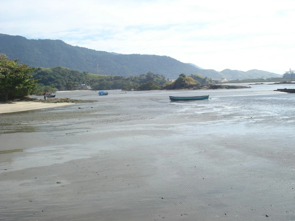 Estudo mapeia biodiversidade na Baía do Araçá (SP)