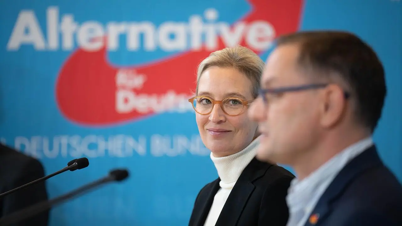 Europawahl-Programm: AfD wollte EU nur "aus Versehen" auflösen