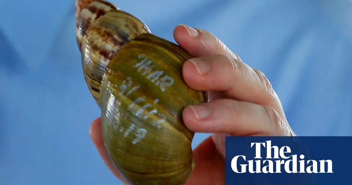 Invasion of giant African land snails prompts quarantine in south Florida