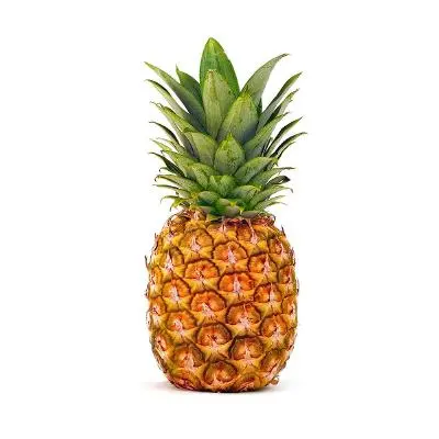 pineappleEA/pineapple-src