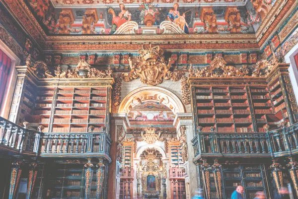 In This Beautiful Library, Bats Guard the Books