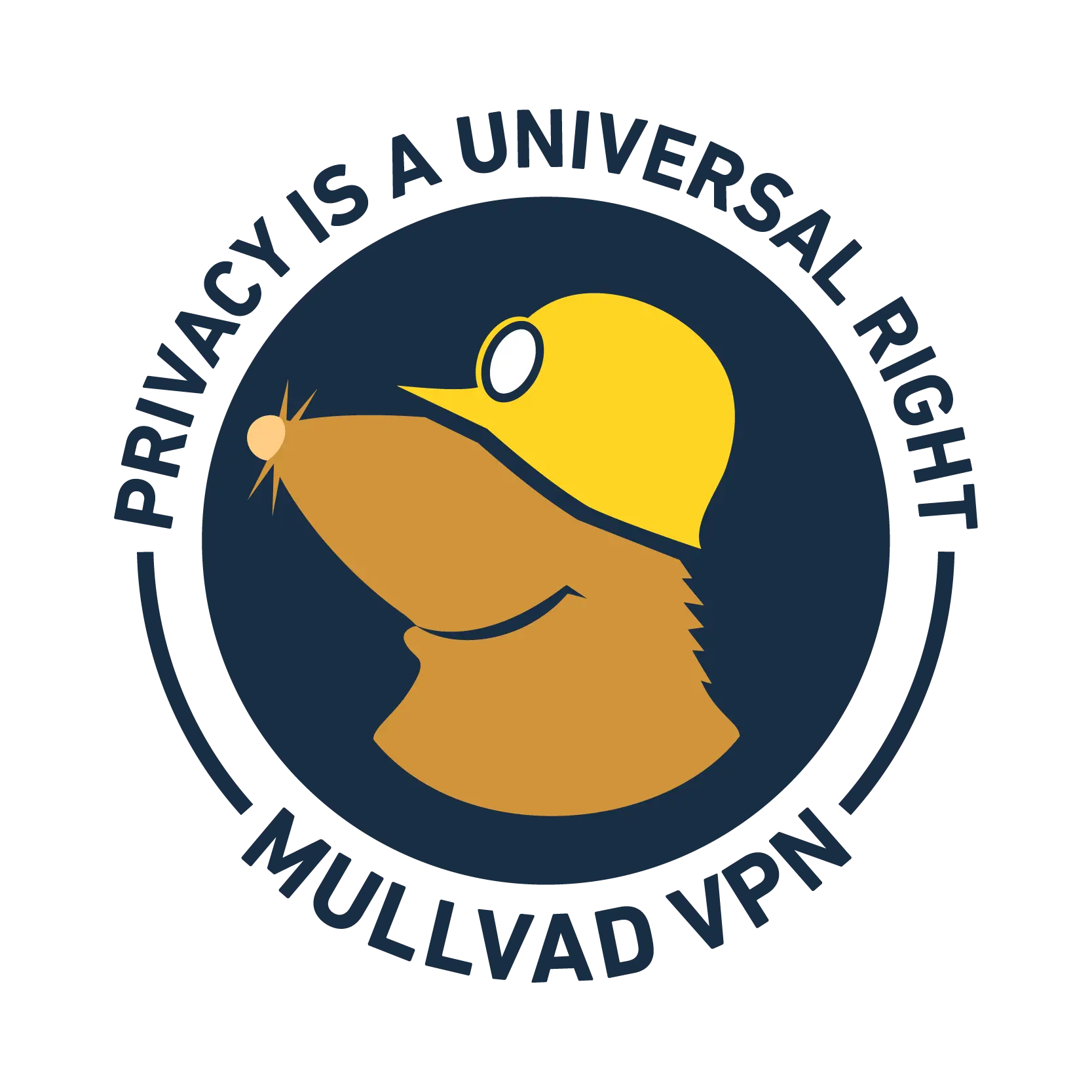 Removing the support for forwarded ports - Blog | Mullvad VPN