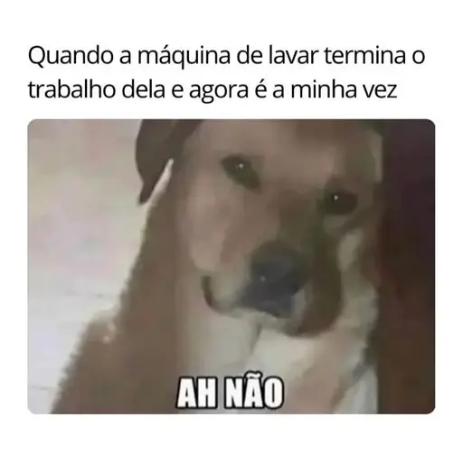 Meme com uma legenda no topo, que diz "Quando a máquina de levar termina o trabalho dela e agora é a minha vez". Abaixo, há uma foto colorida de um cachorro caramelo, olhando para a câmera com os olhos lacrimejando. Junto a ele, uma legenda em baixo diz "Ah não"