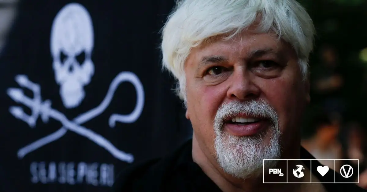 Sea Shepherd Founder Paul Watson Remains Detained As Japan Extradition Considered