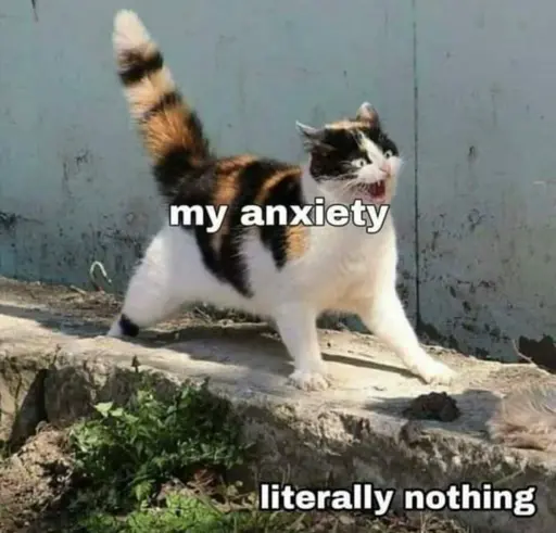 a kitty is super spicy and is angy. kitty labeled my  anxiety.  background label Nothing