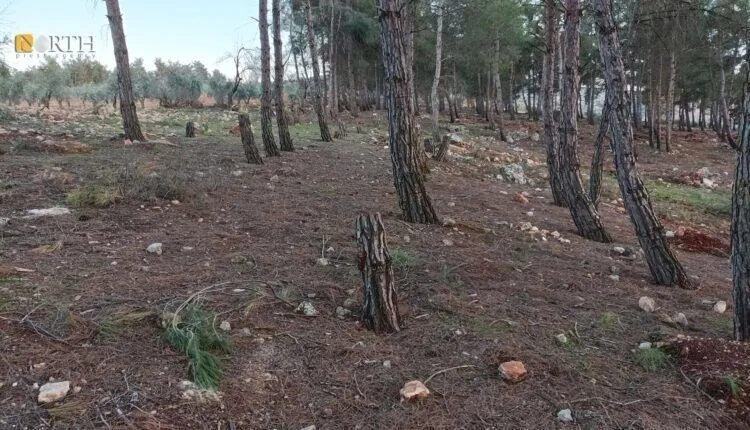 Ahogado por el cambio climático y la guerra ecocida de Turquía, el norte de Siria lucha contra la "peor sequía en 70 años" - ROJAVA AZADI