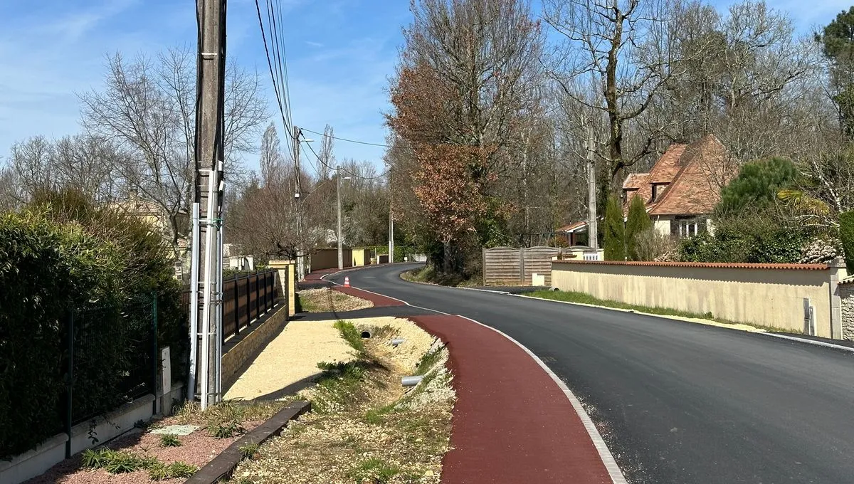 "C'est inchassable" : près de Périgueux, une harde de 40 sangliers fait des ravages jusqu'en ville - France Bleu