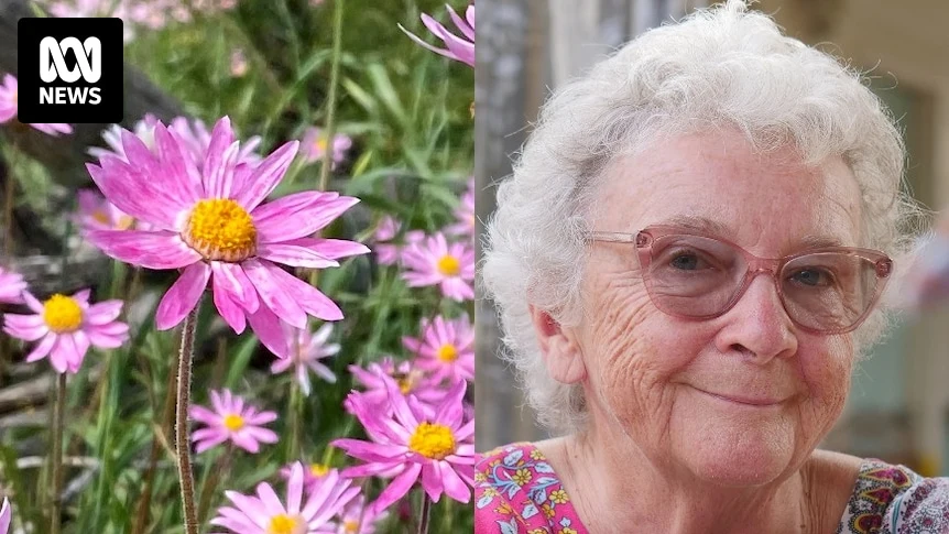 Small town gardeners 'pinking up the hood' with everlasting flowers for spring