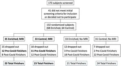 Frontiers | Overnight olfactory enrichment using an odorant diffuser improves memory and modifies the uncinate fasciculus in older adults