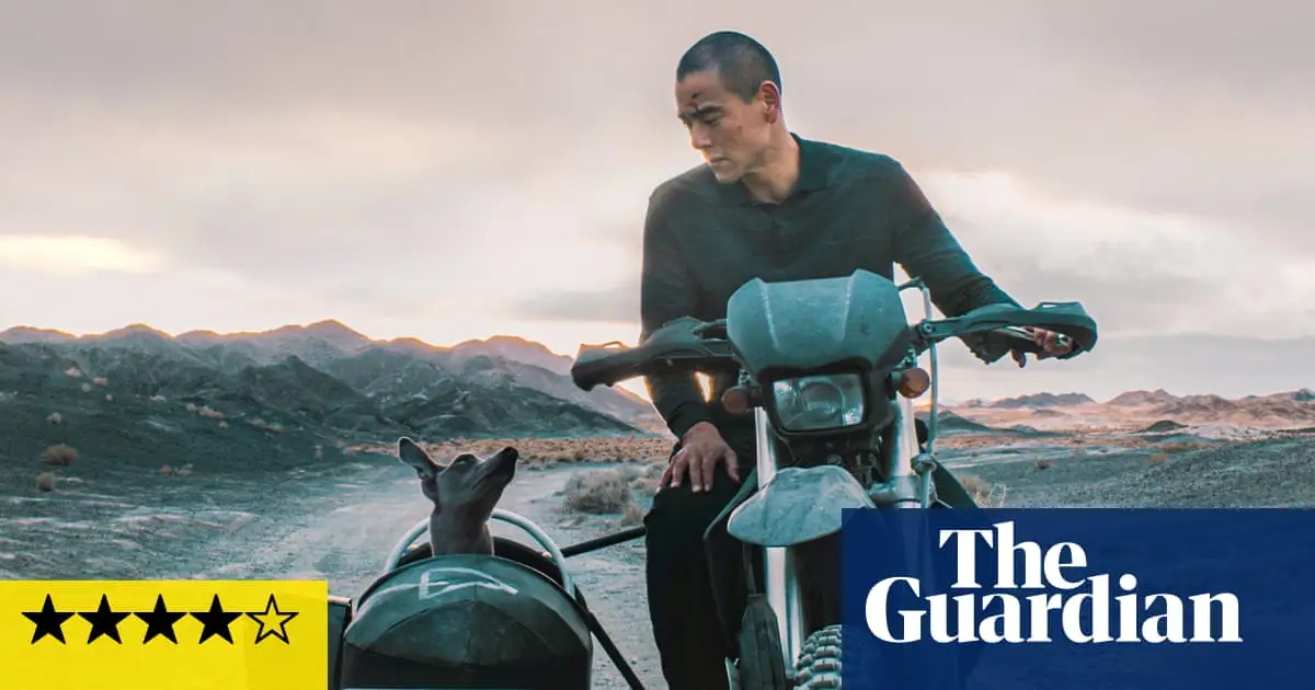 Black Dog review – state-of-the-Chinese-nation drama with feelgood furry antics