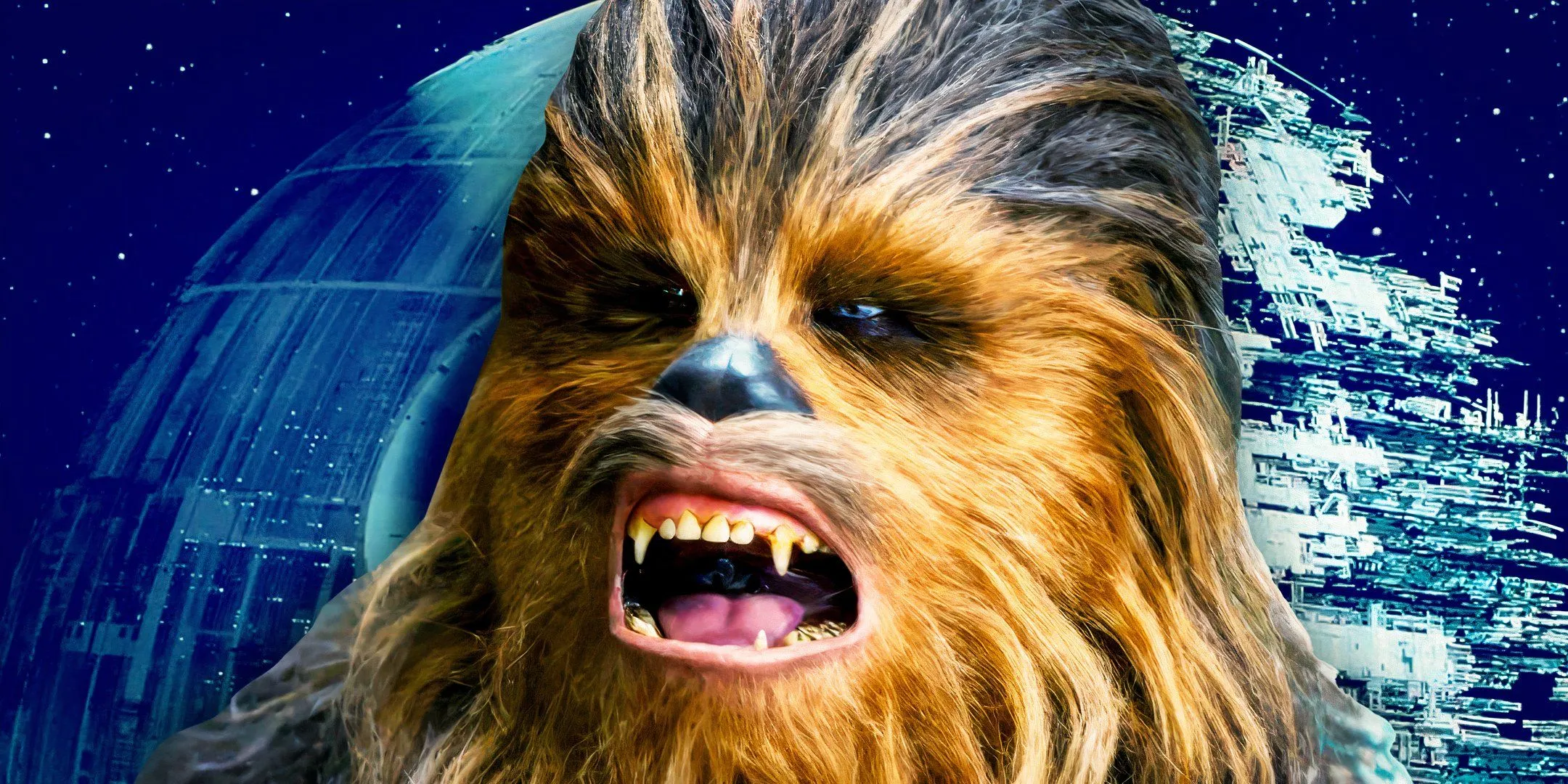 What's Going On With Wookieepedia, The Star Wars Wiki?