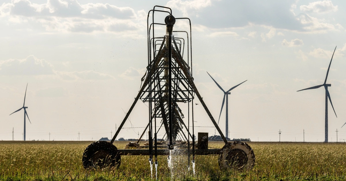 As Texas swelters, crops and cattle are increasingly at risk