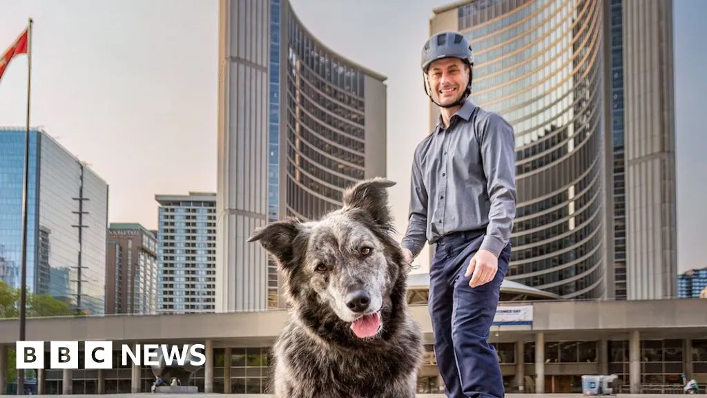 Why 101 people and a dog want to be Toronto's mayor