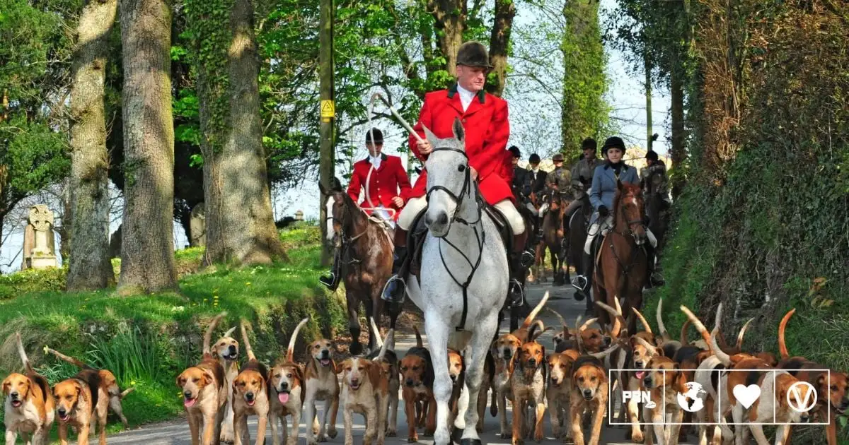 Fox Hunters Seek To Be 'Protected Minority Group' Under Equality Laws