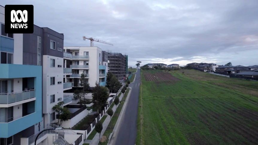 NSW government and councils blame one another over 'absurd' half-width streets