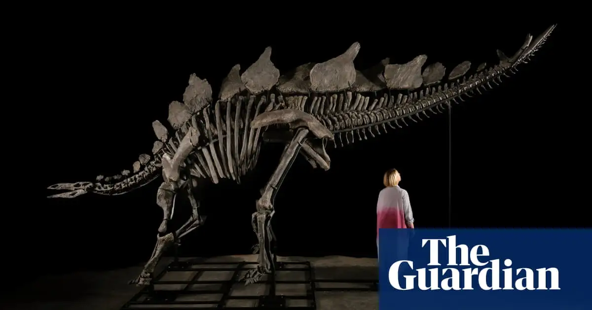 ‘Virtually complete’ Stegosaurus fossil to be auctioned at Sotheby’s geek week