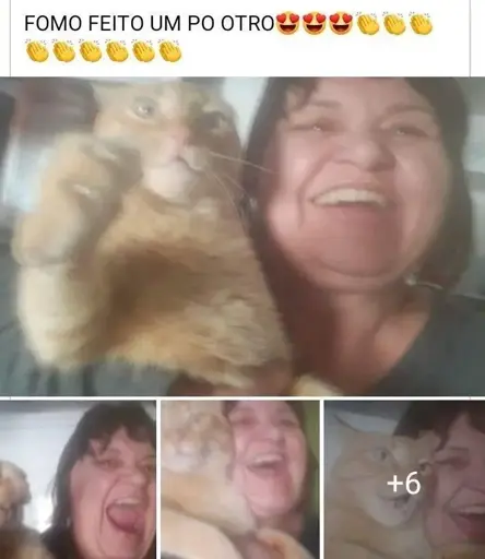 Print de pré-visualização de álbum do Facebook. Uma mulher postou dizendo "Fomo feito um pro outro", seguido de emojis de paixão e palmas. A pré-visualização mostra 4 fotos da mesma mulher mulher branca, em selfies segurando um gato laranja. Ela sorri muito, feliz com o gato no colo