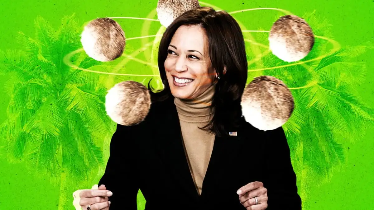 How Kamala Harris is re-energising young voters