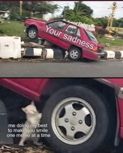 a car is crashed.  zoomed in you see a little kitty pushing at the car. the car is labeled Your sadness. the kitty is labeled Me doing my best trying to make you smile one meme at a time