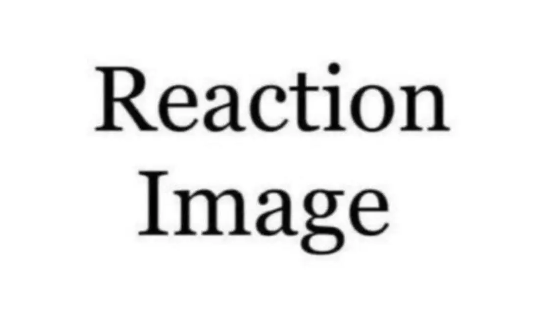 reaction image that litterally says "Reaction Image"