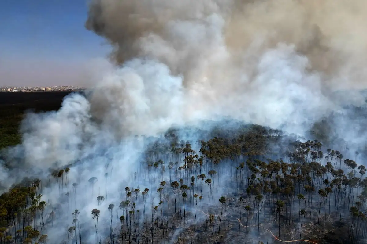 Brazil sees its worst forest fires in 14 years, exposing Lula and state governors’ lack of preparation