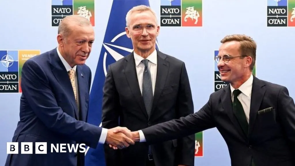 Turkey backs Sweden's Nato membership