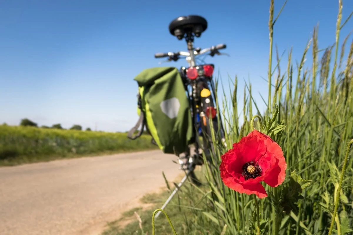 FAQ: Apps für die Navigation auf dem Fahrrad