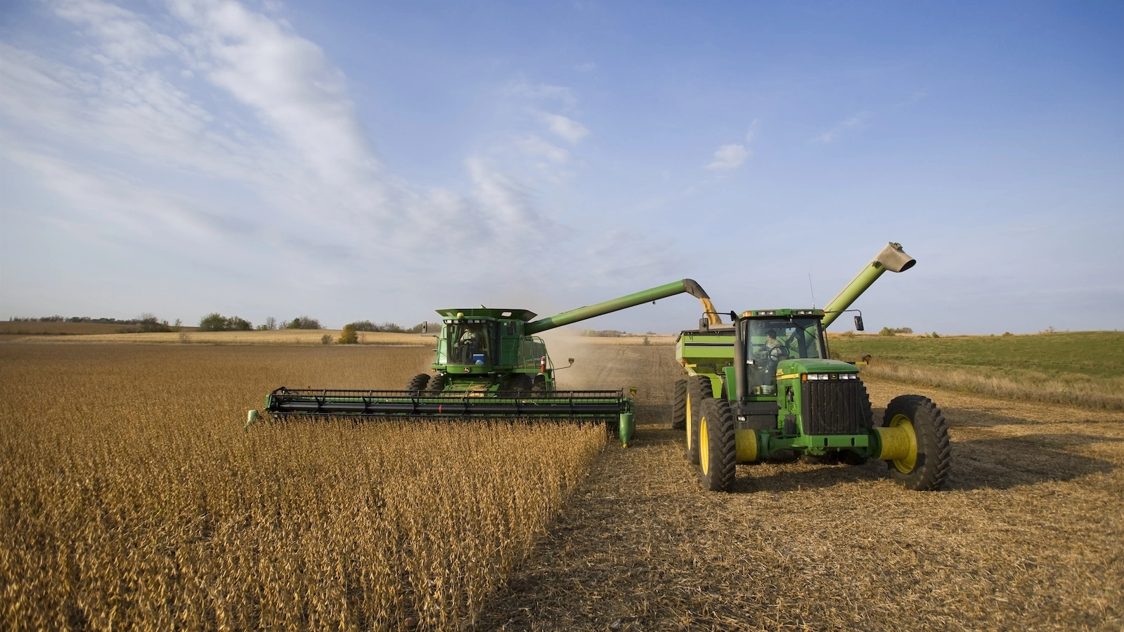 Here's how much cropland could be freed up if Americans ate half as much meat