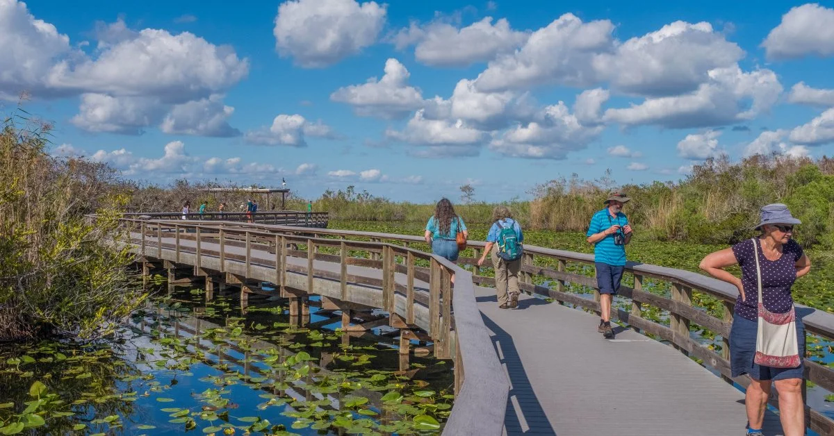 Florida’s Environmental Failure Is a Warning Sign for the U.S.