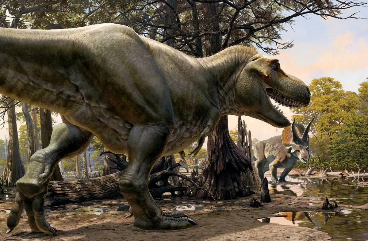 Dinosaur Brain Science Is Revealing the Senses of T. rex and Its Prey