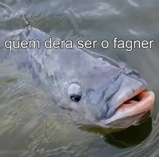 Um peixe pensando como seria bom ser o cantor Fagner