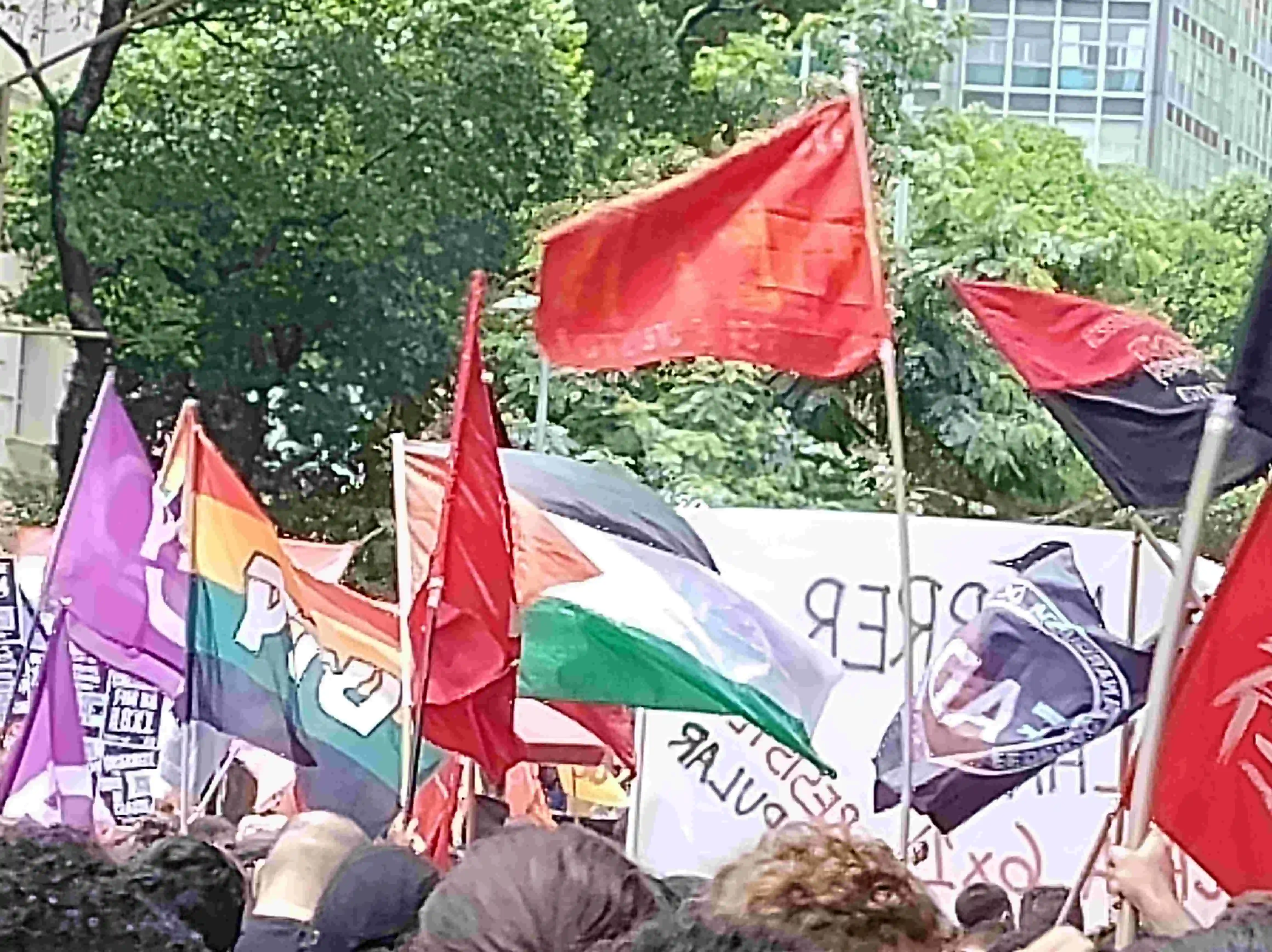 close em várias bandeiras grandes e altas balançando na rua, onde se vê copas de árvores e prédios ao fundo. várias bandeiras vermelhas, uma bandeira lgbt do pstu e uma bandeira da palestina bem no meio