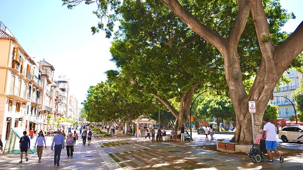 The Multitasking Marvel: How Street Trees Can Solve Many Municipal Problems