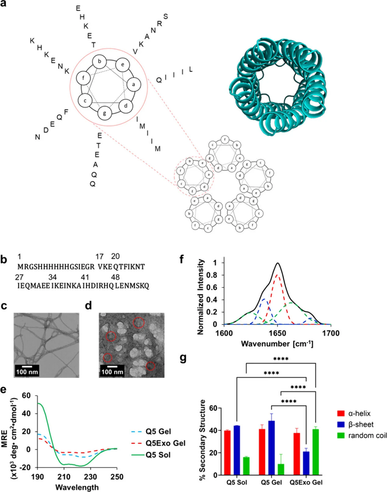 Harnessing exosomes and hydrogels for advanced diabetic wound healing