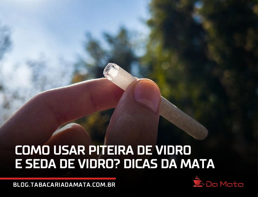 Como usar piteira de vidro e seda de vidro? Dicas Da Mata