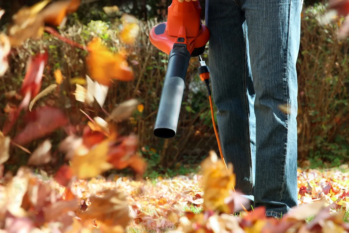 The problem with gas-powered leaf blowers