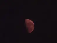 The blood moon has risen