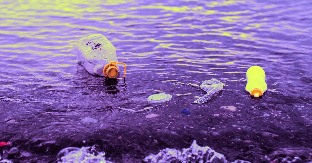 Scientists Find Plastic-Eating Fungus Feasting on Great Pacific Garbage Patch