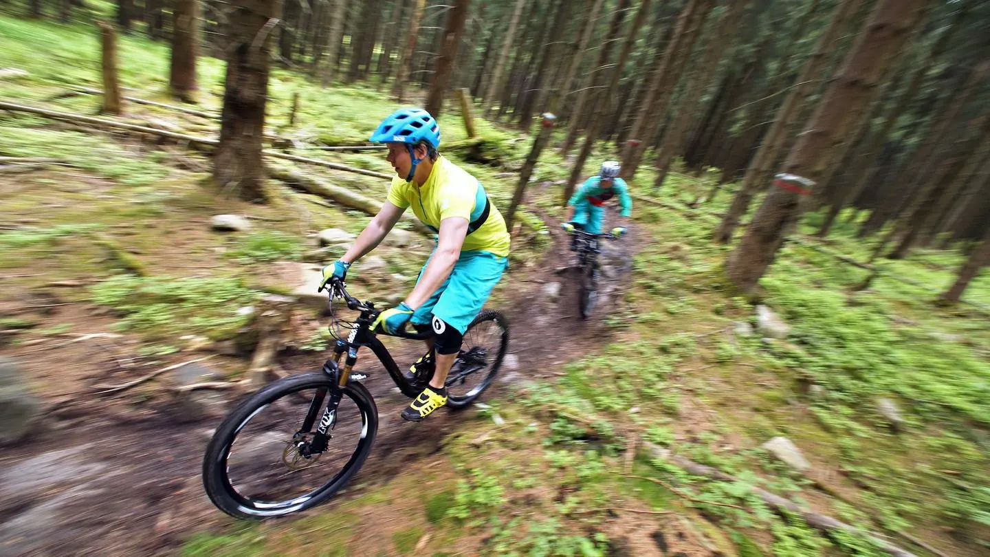 Drähte auf Mountainbike-Trail bei Eberstadt: Verdächtiger in U-Haft - Alpenverein Heilbronn schockiert