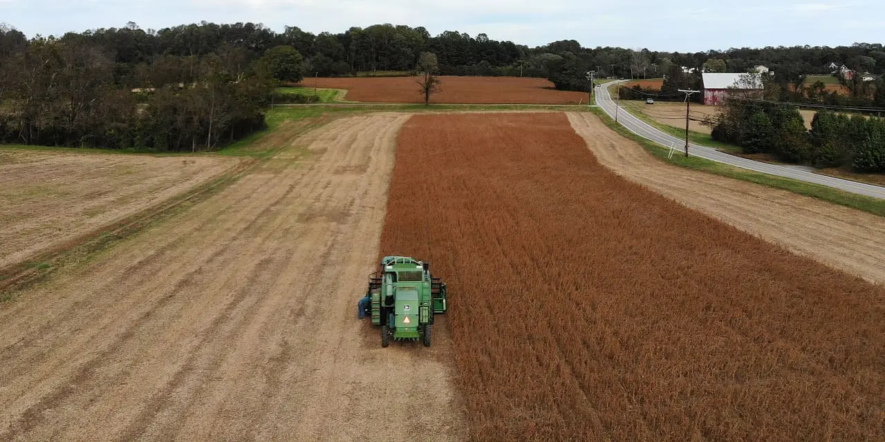 Weather Is Driving Up Your Food Bill. Winners and Losers.