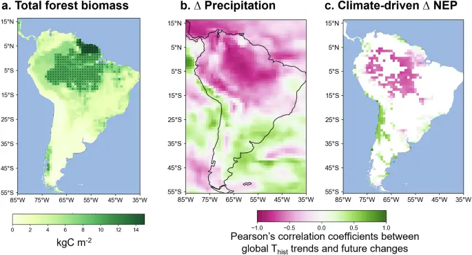 Emergent constraints on future Amazon climate change-induced carbon loss using past global warming trends - Nature Communications