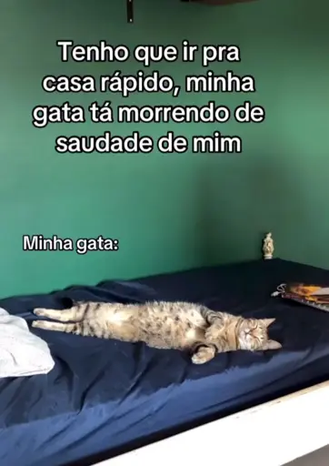 Meme com a frase "tenho que ir pra casa rápido, minha gata tá morrendo de saudade de mim".

Logo abaixo, está escrito "minha gata:", e mostra a foto de uma gata rajada deitada em uma cama de solteiro. Ela está estirada, deitada de lado, de olhos fechados, mostrando a protuberância da sua barriguinha enquanto dorme em relaxamento. 