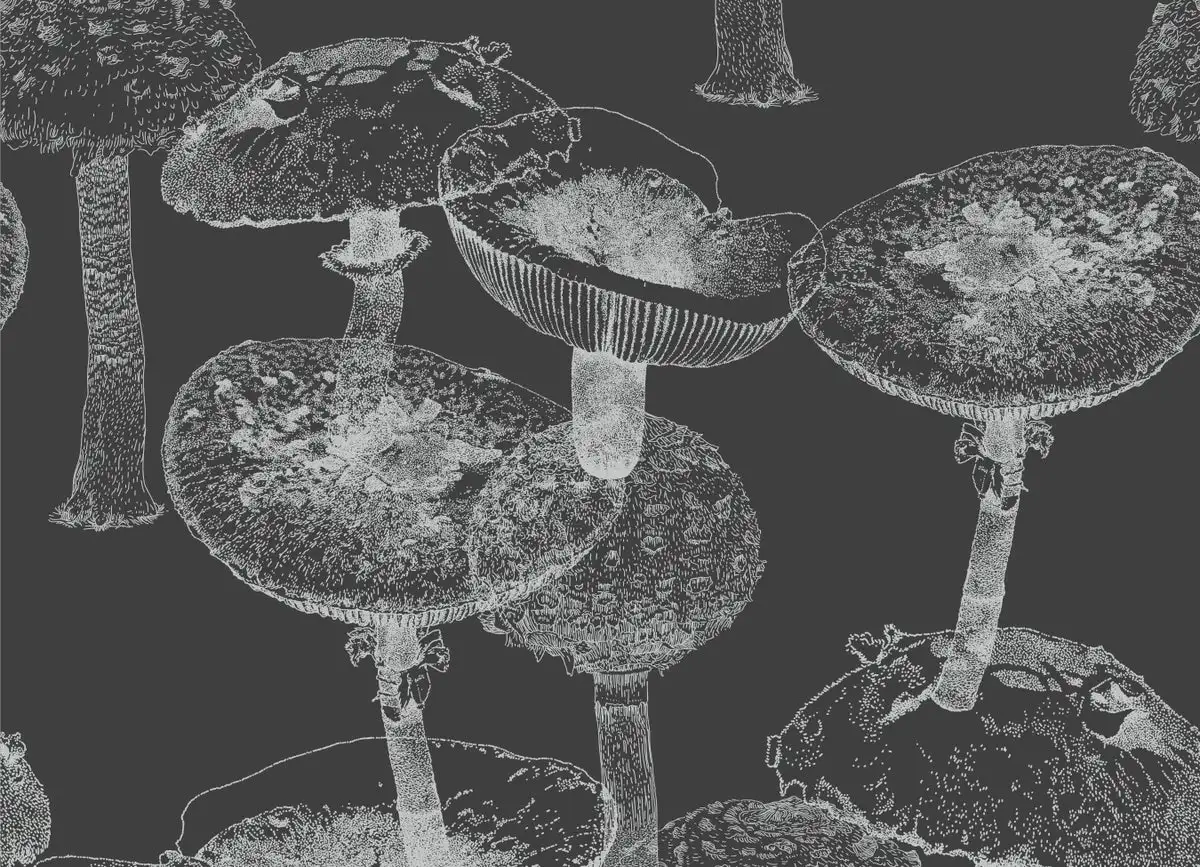 Mysterious ‘Dark Fungi’ Are Lurking Everywhere