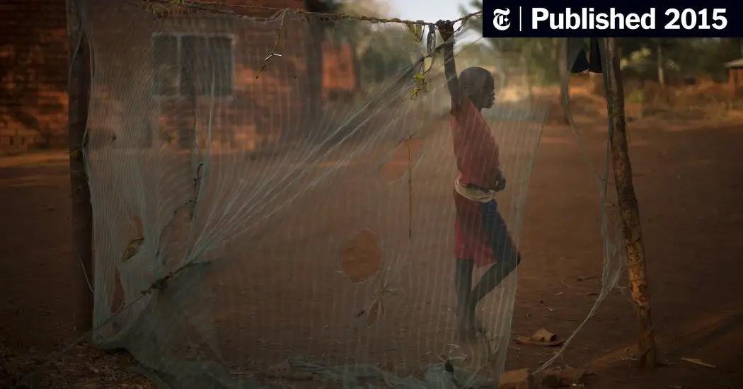 Meant to Keep Malaria Out, Mosquito Nets Are Used to Haul Fish In (Published 2015)