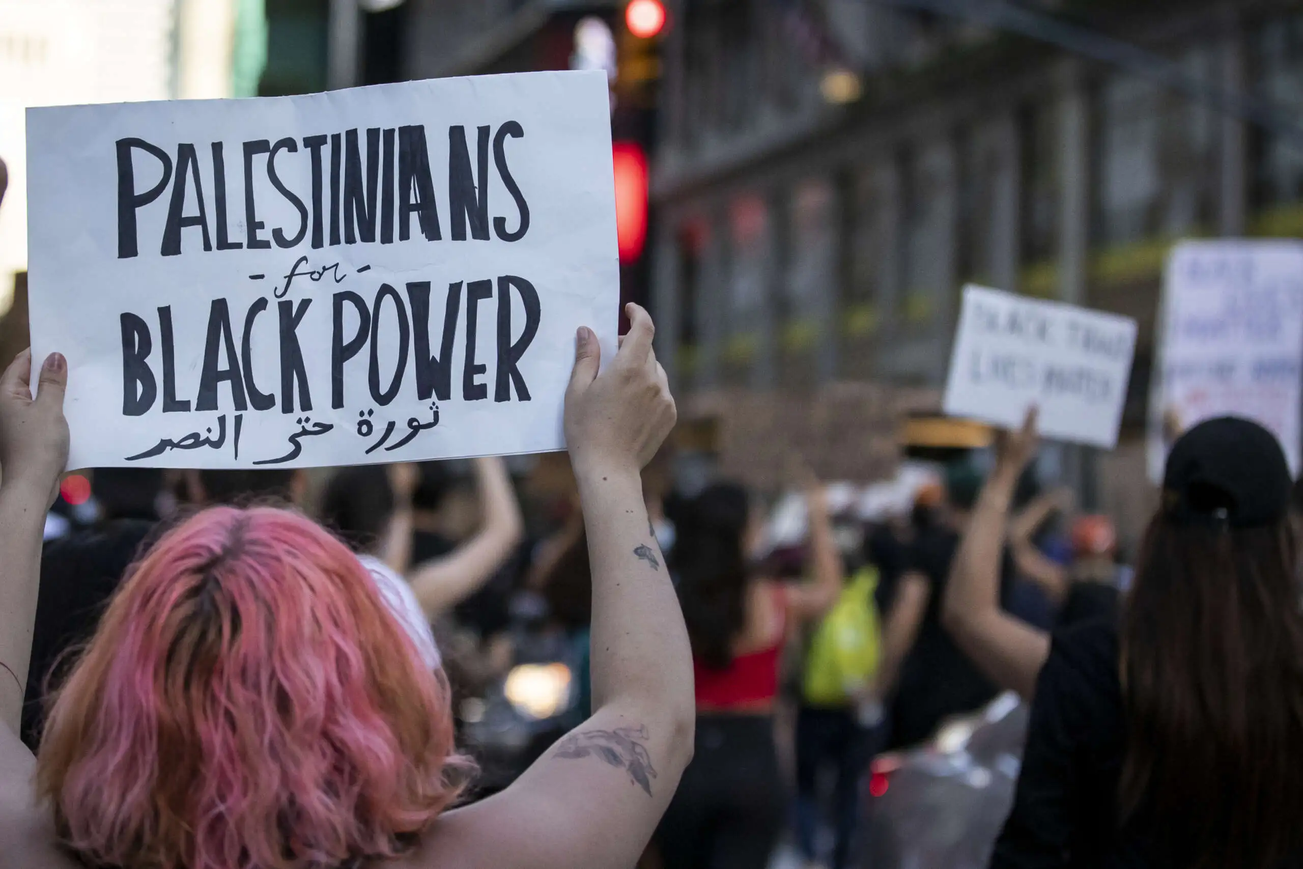 What Can the Black Freedom Struggle and Palestinian Liberation Teach Each Other?